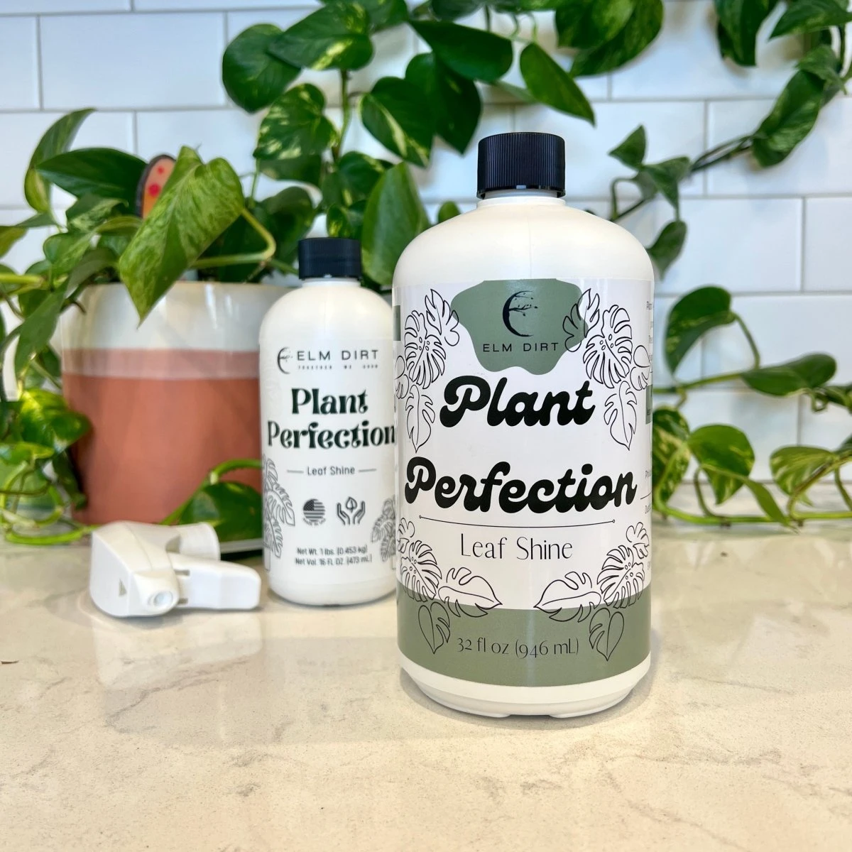 Plant Perfection - Leaf Shine For Houseplants - Image 7