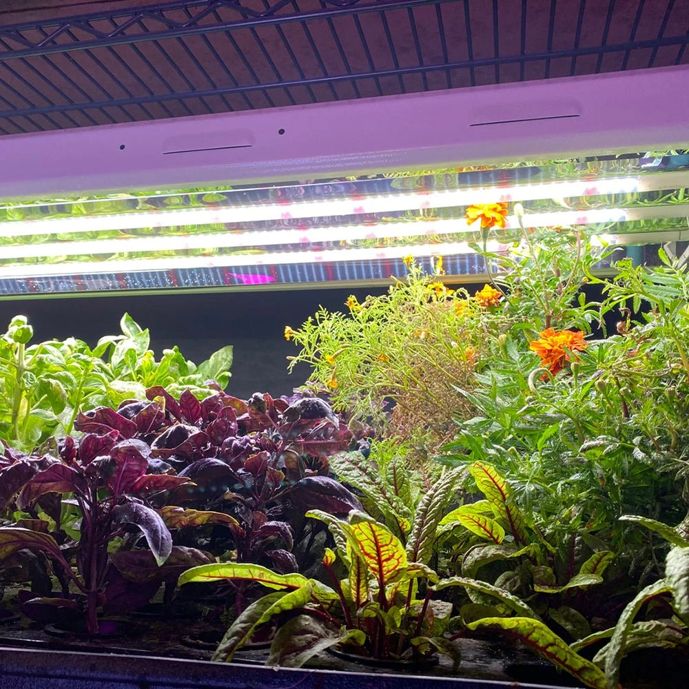 Plug & Play 4' LED Grow Lamp – T5 HO Sun White Pro Spectrum - Image 4