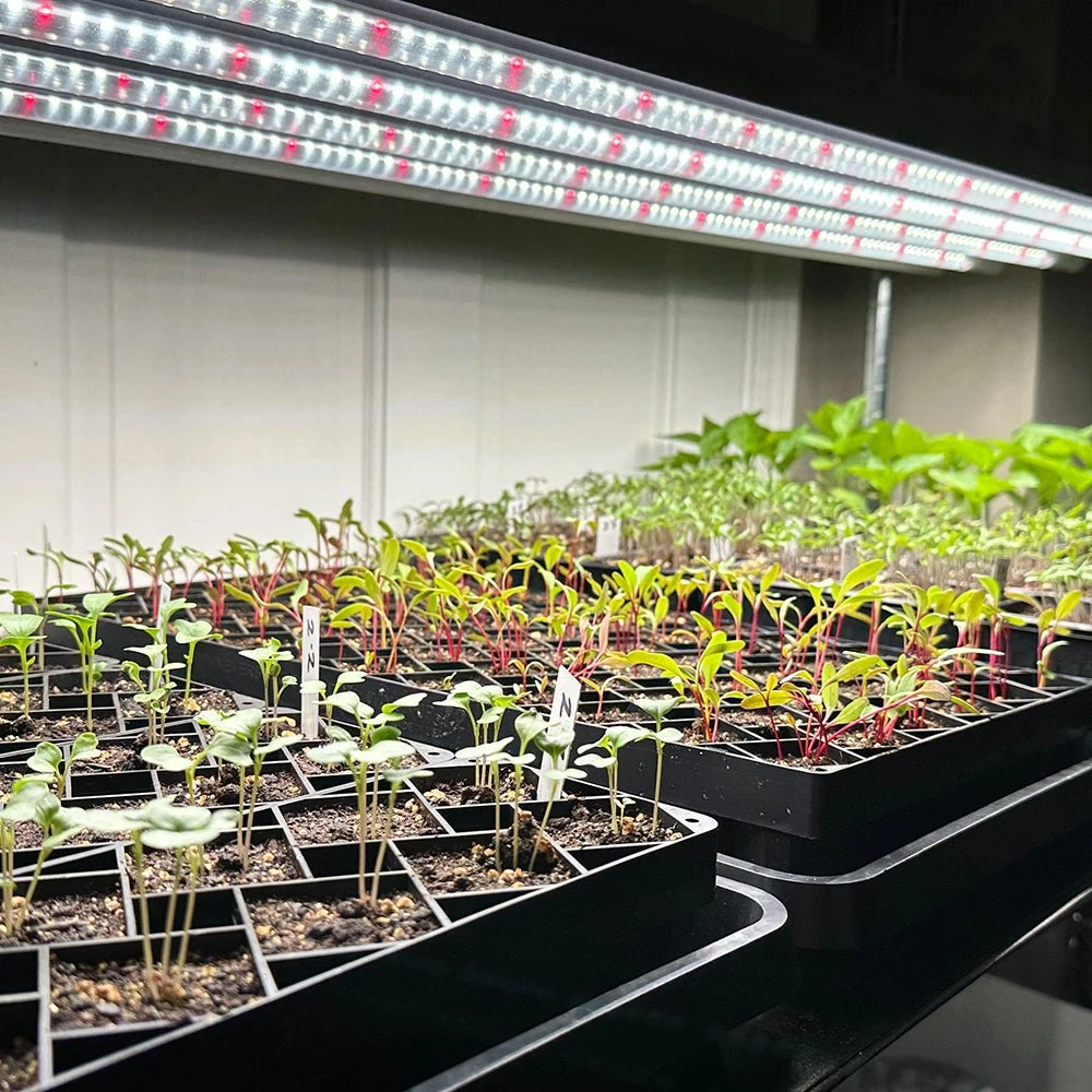 Plug & Play 4' LED Grow Lamp – T5 HO Sun White Pro Spectrum - Image 3