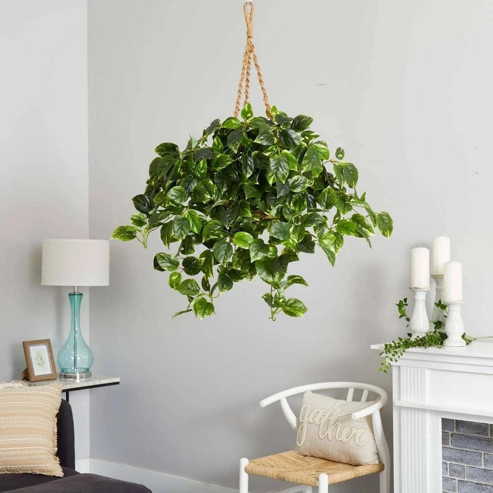 36-in Pothos Hanging Basket UV Resistant - Indoor/Outdoor (36″H × 30″W) - Image 5
