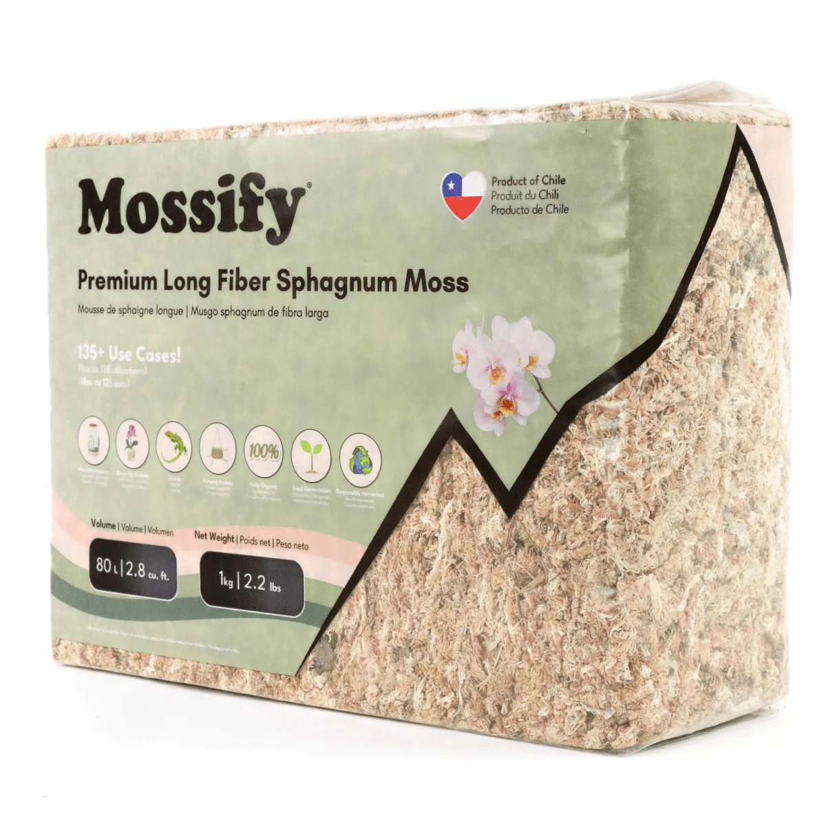 Premium Long Fiber Sphagnum Moss – Orchid & Kokedama Substrate (150g) - Image 12