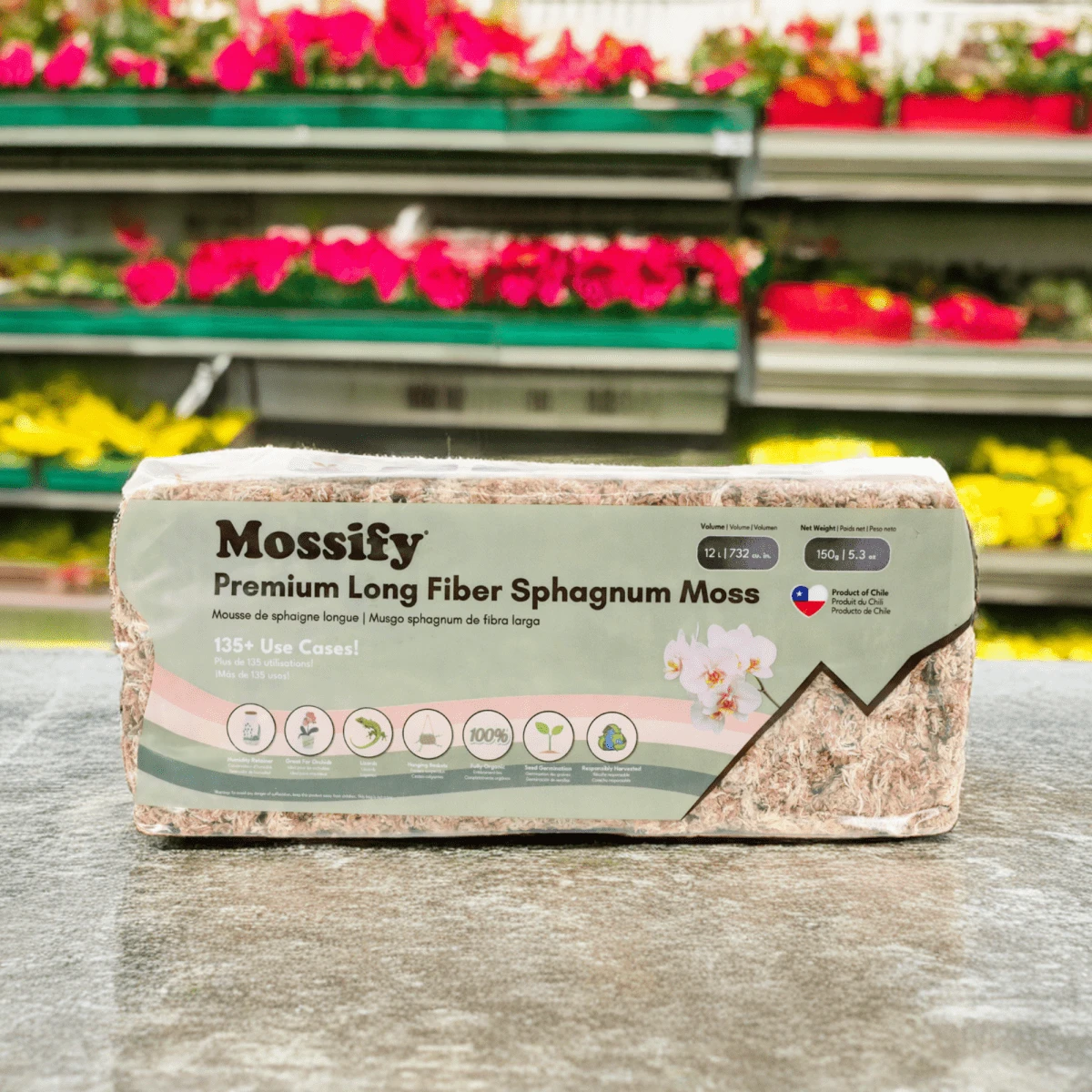 Premium Long Fiber Sphagnum Moss – Orchid & Kokedama Substrate (150g) - Image 5