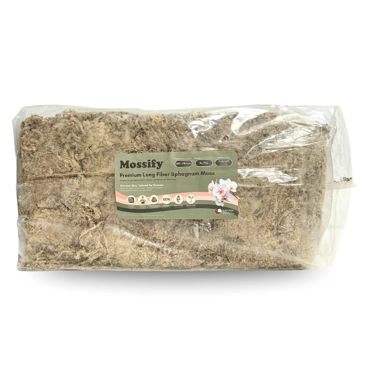 Premium Long Fiber Sphagnum Moss – Orchid & Kokedama Substrate (150g) - Image 16