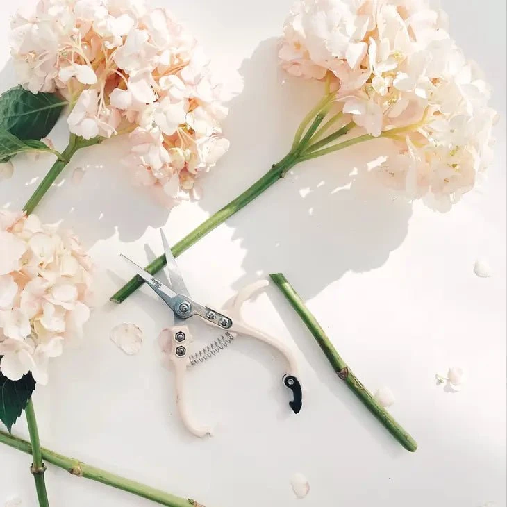 Pruning Shears - Various Colors Available - Image 8