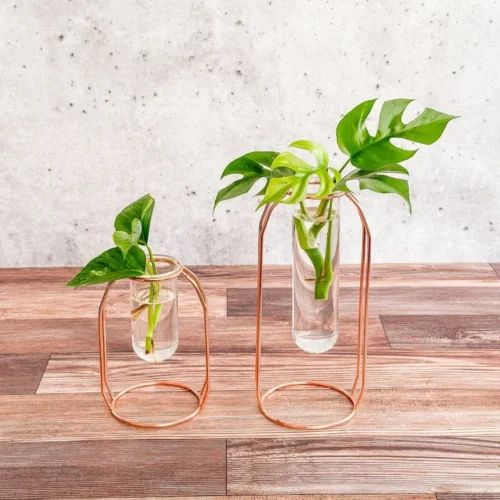 Rose Gold Propagation Station & Vase