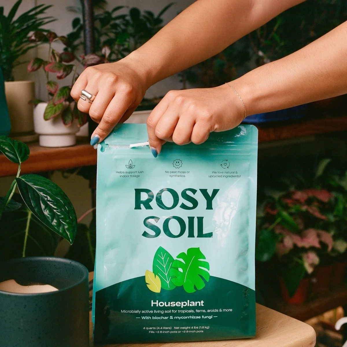 Rosy Soil Organic Indoor Potting Mix- Houseplant 4qt. - Image 2