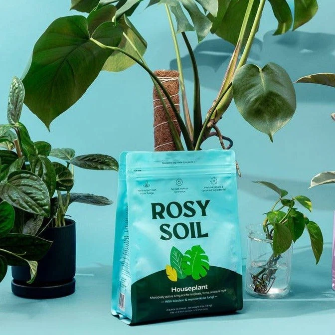 Rosy Soil Organic Indoor Potting Mix- Houseplant 4qt. - Image 7
