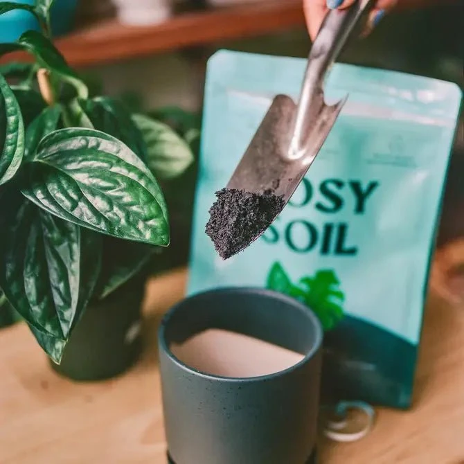 Rosy Soil Organic Indoor Potting Mix- Houseplant 8qt. - Image 7