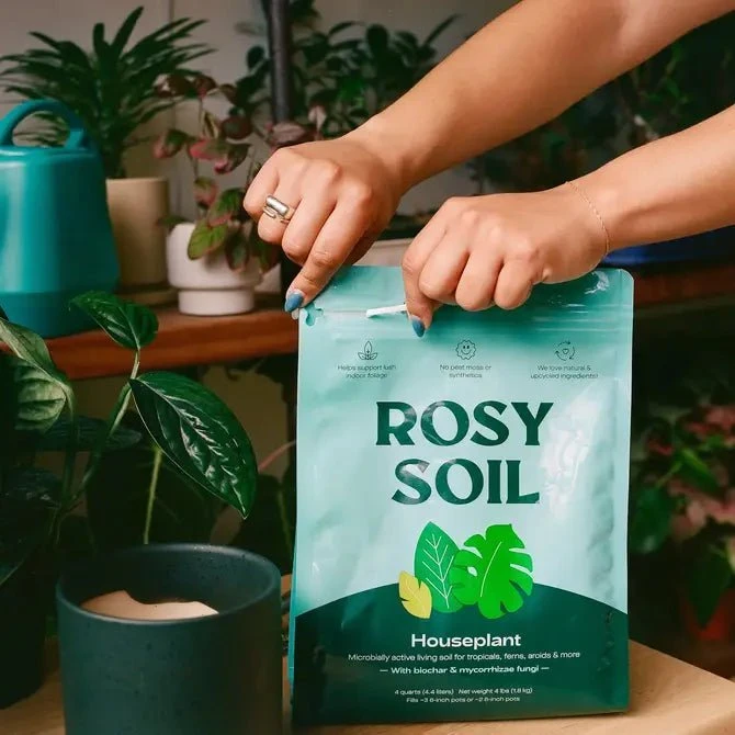 Rosy Soil Organic Indoor Potting Mix- Houseplant 8qt. - Image 8