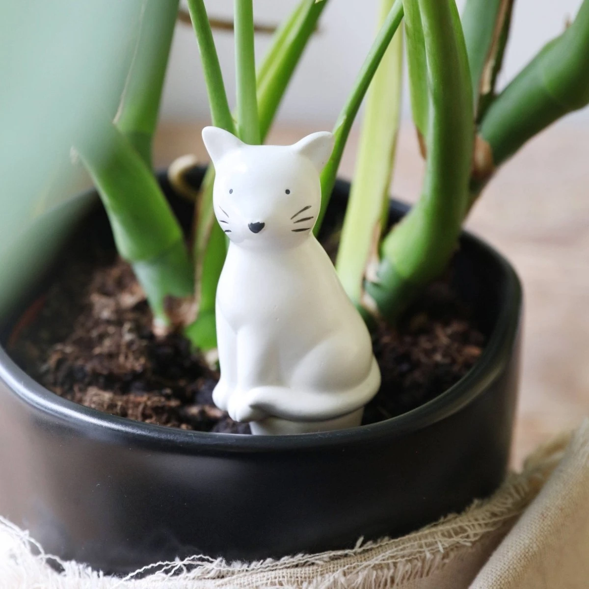 Self Watering Device - Cat