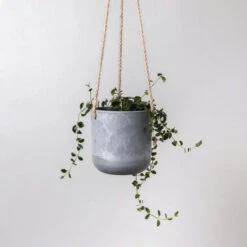 Signature Stone Hanging Planter Pot 4.75 Inch