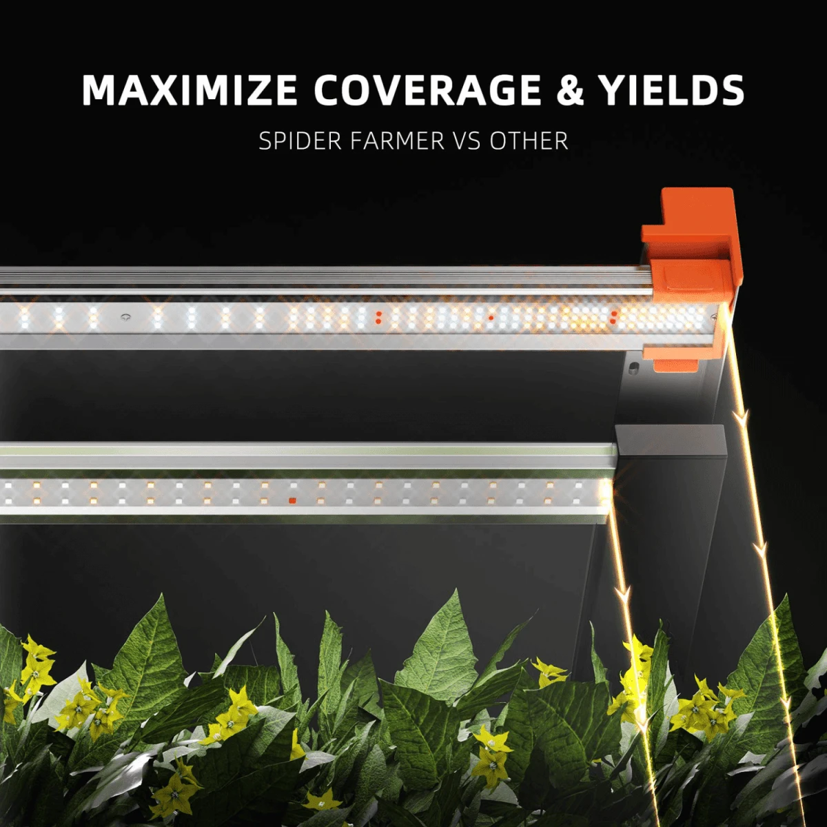 Spider Farmer G3000 300W Dimmable Full Spectrum LED Grow Light | High-Yield Solution - Image 10