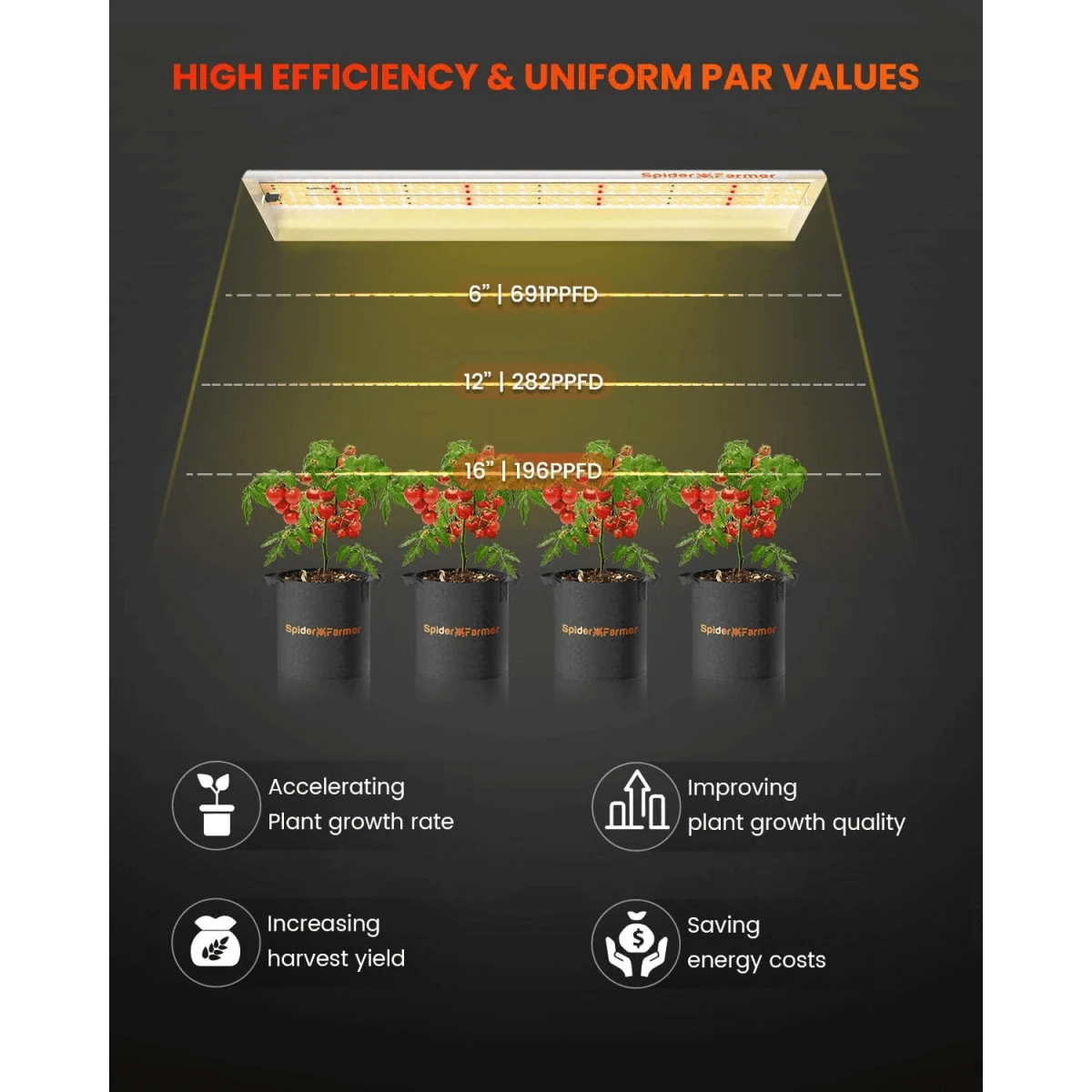 Spider Farmer SF300 33W LED Veg Grow Light - Image 4