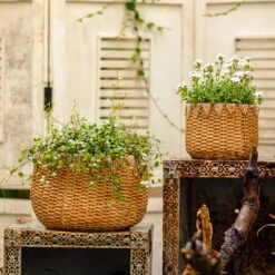 Straw Basket Cement Planter - Various Sizes