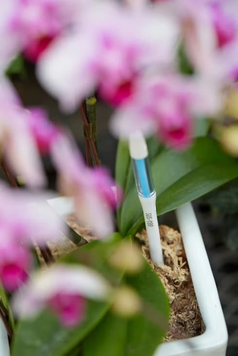 Sustee Aquameter – White | Soil Moisture Sensor For Potted Plants - Image 4