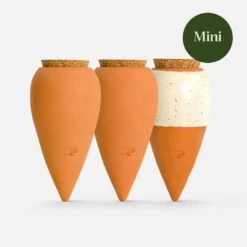 Trio Mini Ollas - The Iconics | Self-Watering Terracotta Plant Irrigators