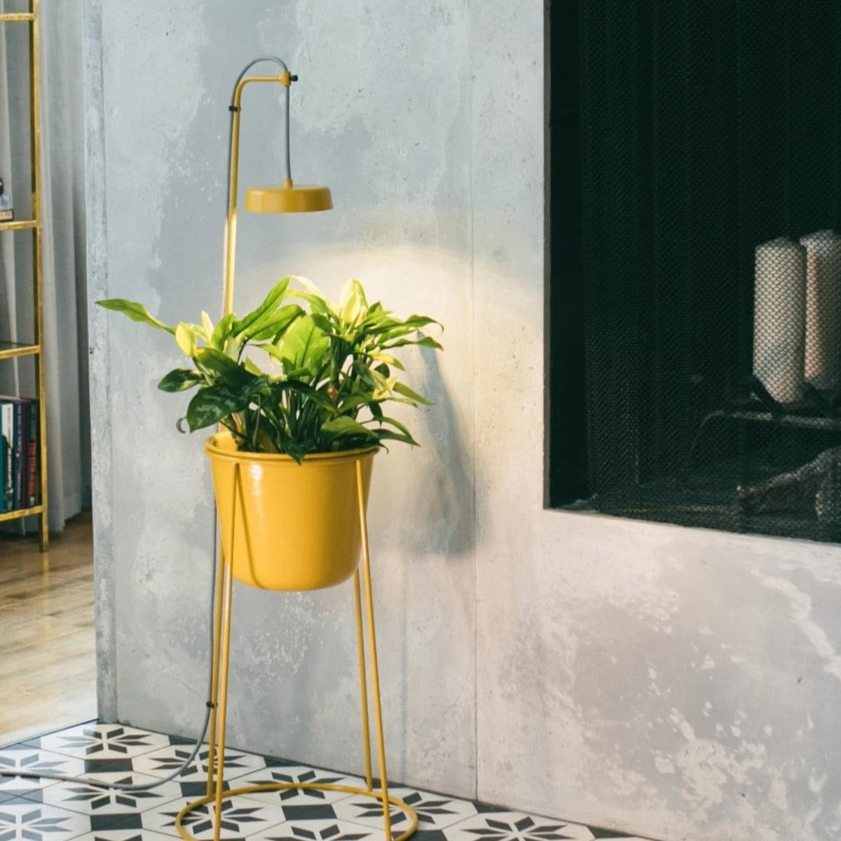 Uplift Planter By Modern Sprout - Image 4