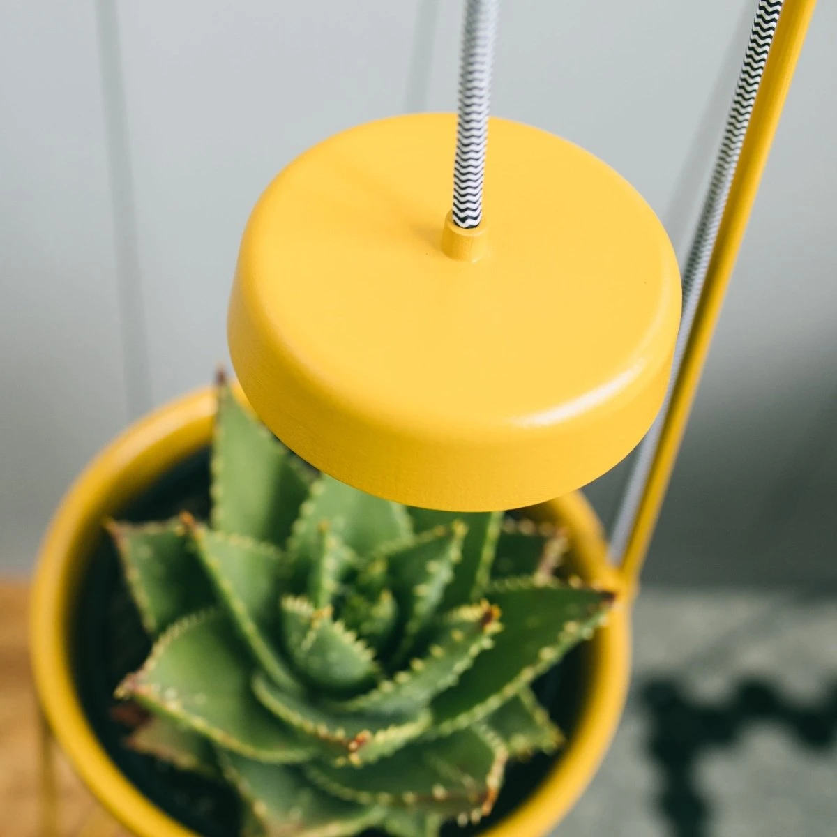 Uplift Planter By Modern Sprout - Image 7