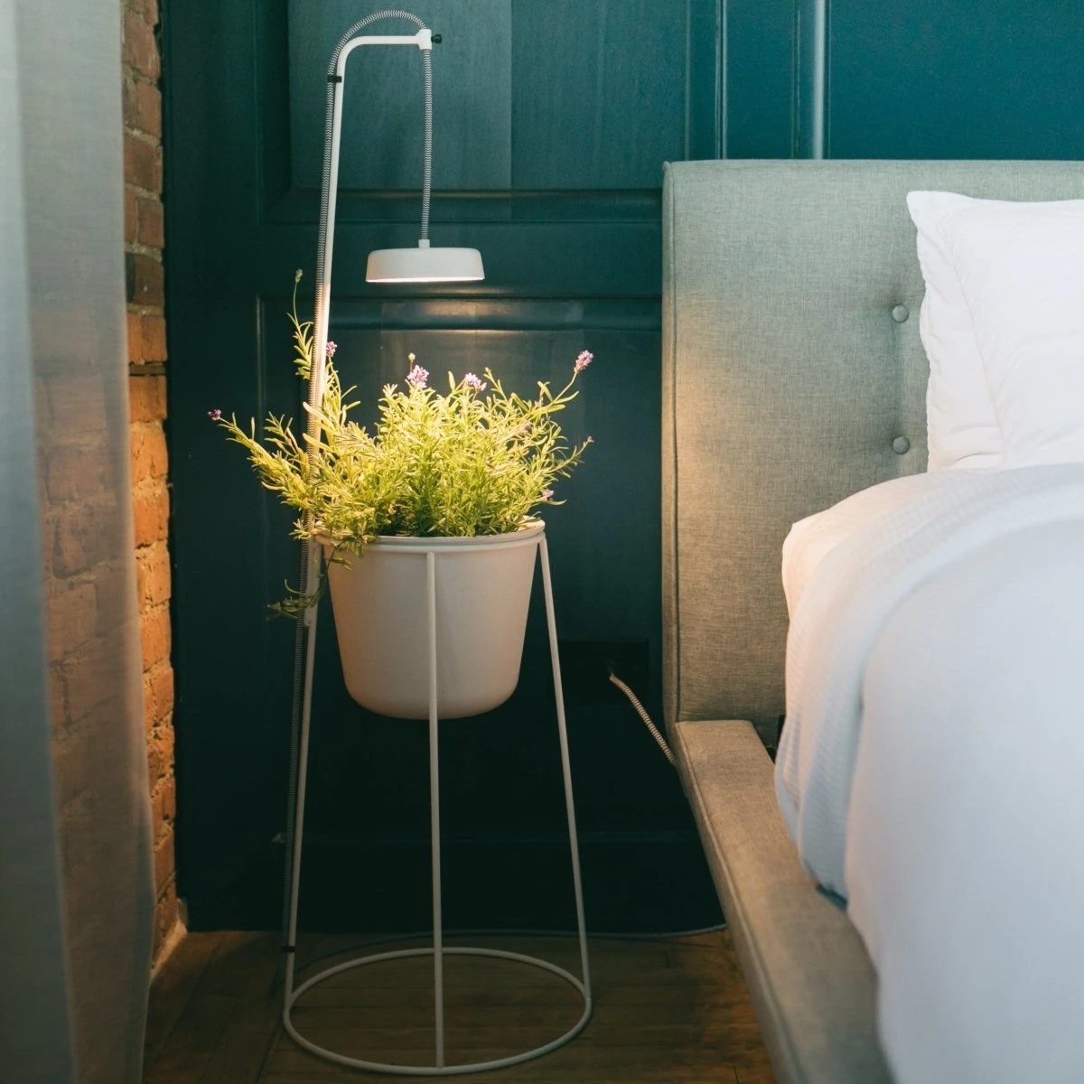 Uplift Planter By Modern Sprout - Image 2