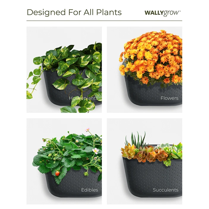 WallyGrow Eco Wall Planter – Teal Vertical Garden Planter For Indoor Walls - Image 7