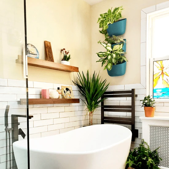 WallyGrow Eco Wall Planter – Teal Vertical Garden Planter For Indoor Walls - Image 5